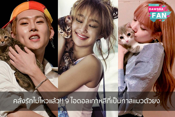 คลั่งรักไม่ไหวแล้ว!! 9 ไอดอลเกาหลีที่เป็นทาสแมวตัวยง Hollywood | justinbieber | K-pop | Bnk48
